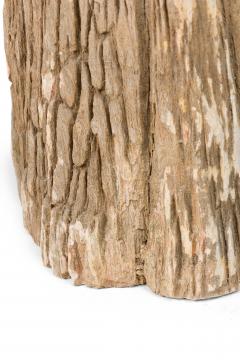 Natural Live Edge Petrified Wood Stump - 4669979