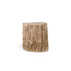 Natural Live Edge Petrified Wood Stump - 4734393