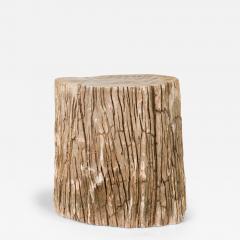 Natural Live Edge Petrified Wood Stump - 4734504
