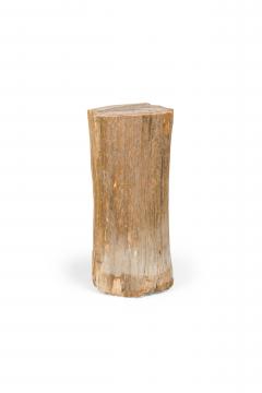 Natural Live Edge Petrified Wood Stump - 4669982