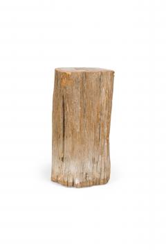 Natural Live Edge Petrified Wood Stump - 4669983