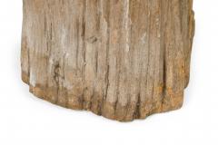 Natural Live Edge Petrified Wood Stump - 4669986