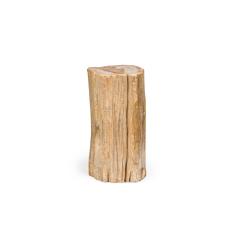 Natural Live Edge Petrified Wood Stump - 4734394