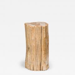 Natural Live Edge Petrified Wood Stump - 4734509