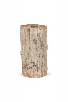 Natural Live Edge Petrified Wood Stump - 4669990