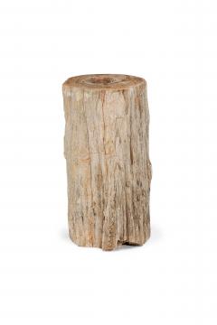 Natural Live Edge Petrified Wood Stump - 4669992