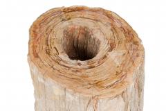 Natural Live Edge Petrified Wood Stump - 4669993