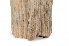 Natural Live Edge Petrified Wood Stump - 4669994