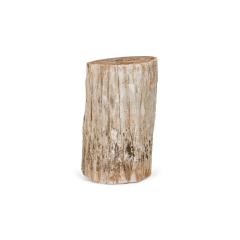 Natural Live Edge Petrified Wood Stump - 4734395