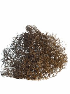 Natural Sculpture - 4299443