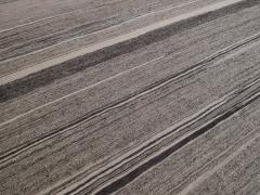 Natural Stripes - 4533687