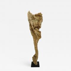 Natural Teak Wood Root Sculpture - 1085791