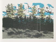 Neil G Welliver From Zeke s Place Maine Landscape  - 4734464