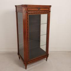 Neoclassical Inlaid Display Case Sweden Early 19th Century - 3418510