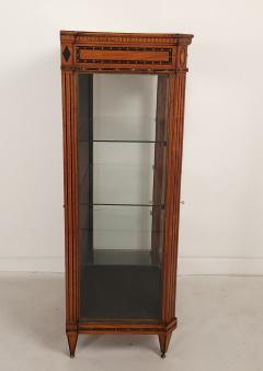 Neoclassical Inlaid Display Case Sweden Early 19th Century - 3418511