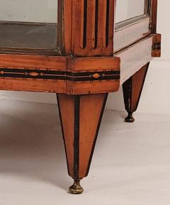 Neoclassical Inlaid Display Case Sweden Early 19th Century - 3418513