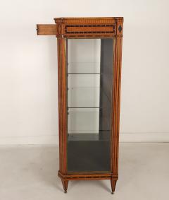 Neoclassical Inlaid Display Case Sweden Early 19th Century - 3418515