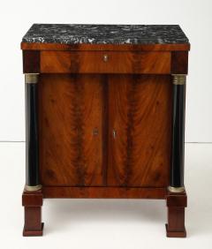 Neoclassical two Door Cabinet Early 19th Century Austria - 4683859