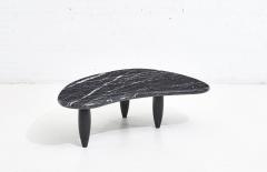 Nero Marquina Biomorphic Marble Coffee Table - 2130798