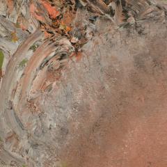 Newton Haydn Stubbing Newton Haydn Stubbing British 1921 1983 Pink Sunburst - 1895395