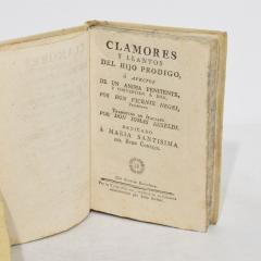 Nice Collection of 18th 19th Century Weathered Spanish Italian Vellum Books - 4108905