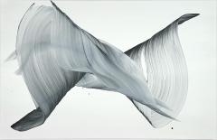 Nikolaos Schizas Secret in the dark - 4479549