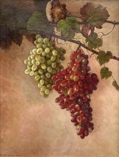 Nina M Cochrane Red and Green Grapes on The Vine - 4280763