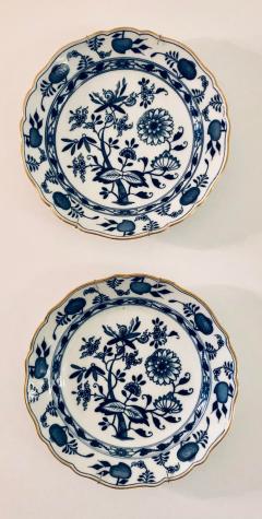 Nine Blue Onion Meissen Show or Wall Plates - 2975781