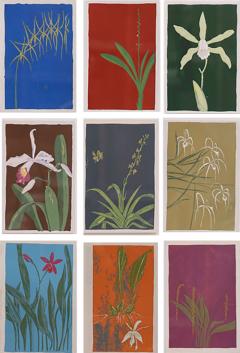 Nine Colorful Orchid Serigraphs - 1703302