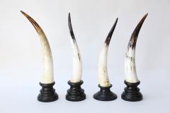 Nine Horn Sculptures - 1427735