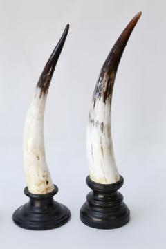 Nine Horn Sculptures - 1427744