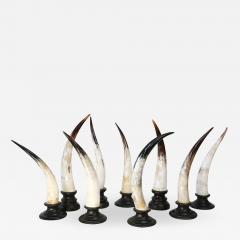 Nine Horn Sculptures - 1718282