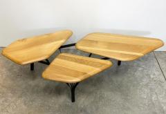 No Duchaufour Lawrance No Duchaufour Lawrance Orgnic Modern Borghese Coffee Table France - 4451835