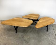 No Duchaufour Lawrance No Duchaufour Lawrance Orgnic Modern Borghese Coffee Table France - 4451996