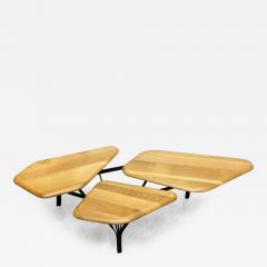 No Duchaufour Lawrance No Duchaufour Lawrance Orgnic Modern Borghese Coffee Table France - 4454541