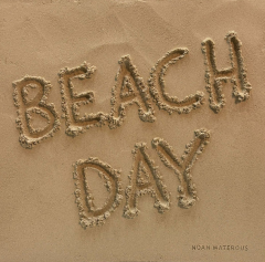 Noah Waterous Beach Day - 4499034