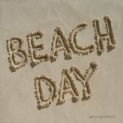 Noah Waterous Beach Day - 4499035