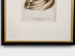 O Hya Wa Mince Kee A Chippewa Chief McKenney Hall Engraving 19th Century - 2918975
