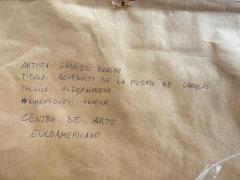 Oil Painting on Wood Venezuelan Artist Gabriel Bracho Aquaduct Door of Caracas - 4397231