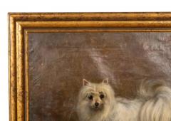 Oil on Canvas Painting of a Seidenspitz Dog - 4136984