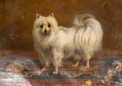 Oil on Canvas Painting of a Seidenspitz Dog - 4137062