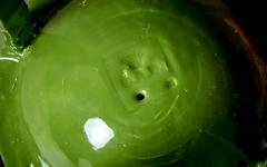 Onka Allmayer Beck Ceramic Vessel No 291b by Onka Allmayer Beck in Green Austria 2023 - 3297852