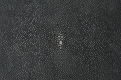 Onyx Shagreen and White Cow Bone Tray - 4278235