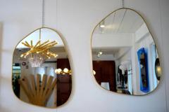 Organic Brass Frame Mirror - 3953021