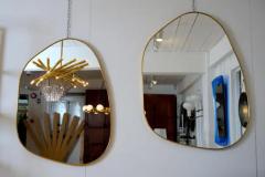 Organic Brass Frame Mirror - 3953022