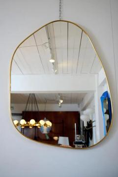 Organic Brass Frame Mirror - 3953031