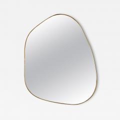 Organic Brass Frame Mirror - 3953595