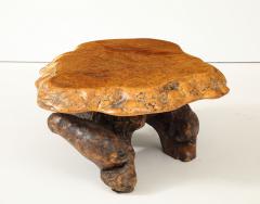 Organic Burl Coffee Table - 4044153