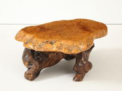 Organic Burl Coffee Table - 4044156