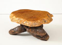 Organic Burl Coffee Table - 4044157